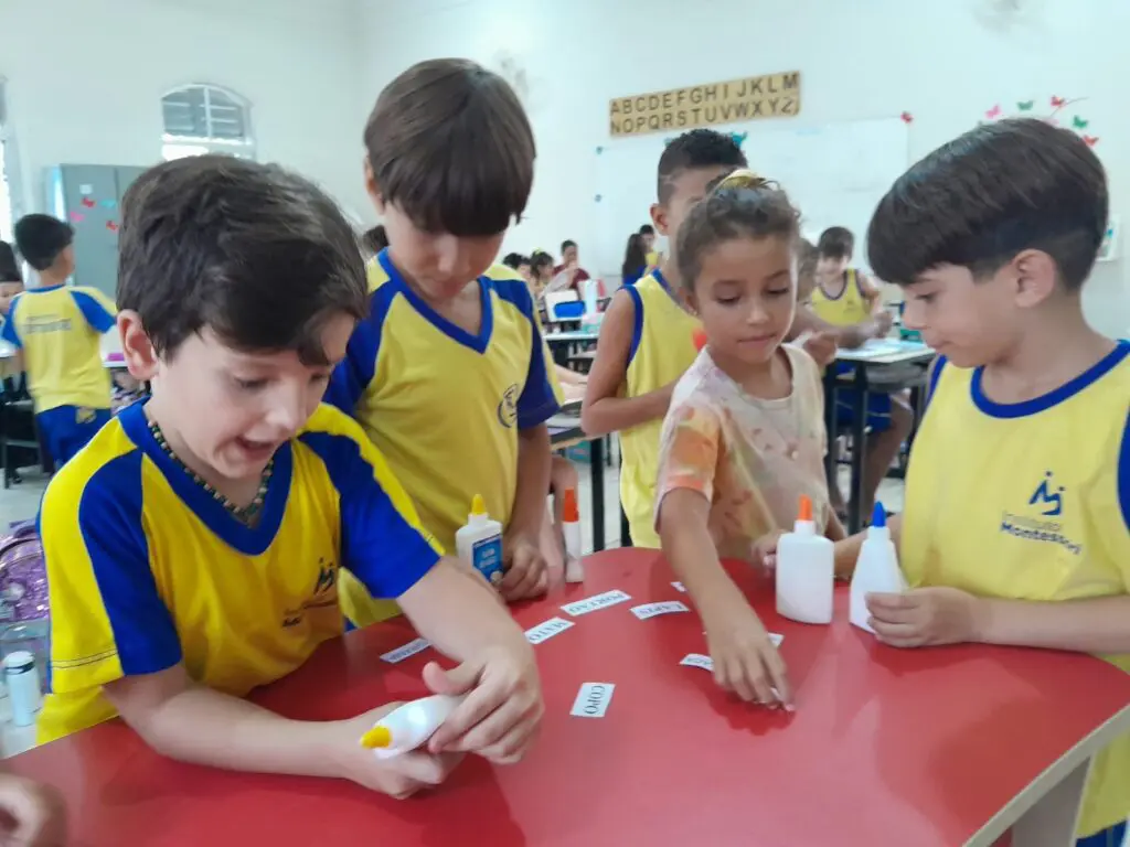 WhatsApp Image 2024-03-08 at 11.33.39