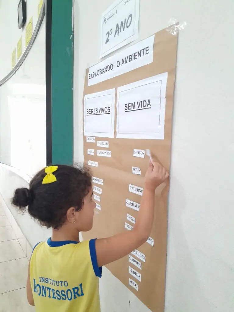 WhatsApp Image 2024-03-08 at 11.33.40