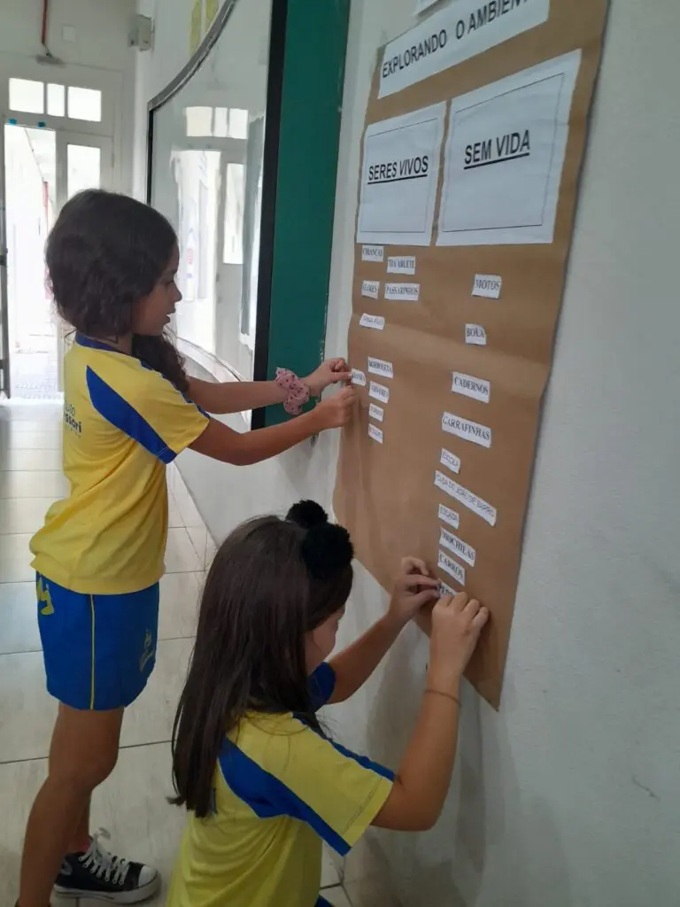 WhatsApp Image 2024-03-08 at 11.33.42