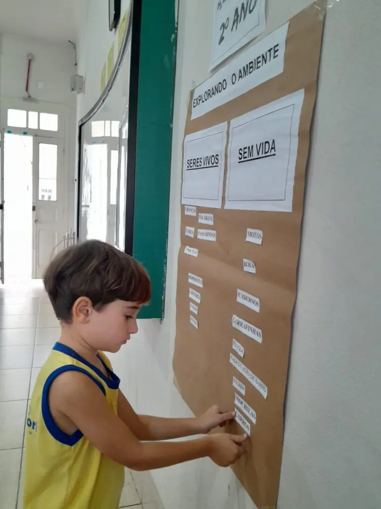 WhatsApp Image 2024-03-08 at 11.33.46