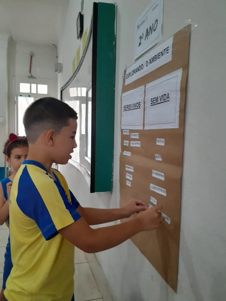 WhatsApp Image 2024-03-08 at 11.33.49