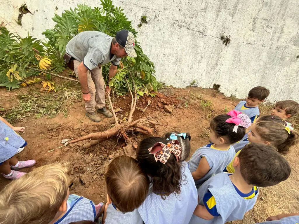 3c589e02-453c-4eef-b248-0b1f0cf69af7