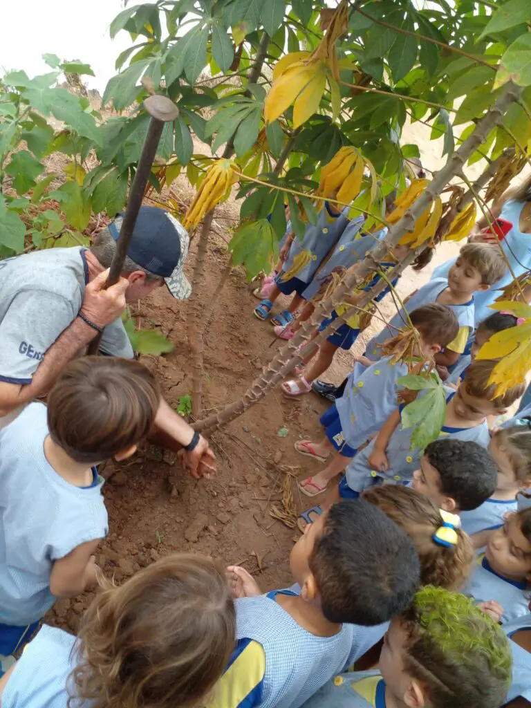 8bdace34-3999-49e5-90af-7fb52f98c796