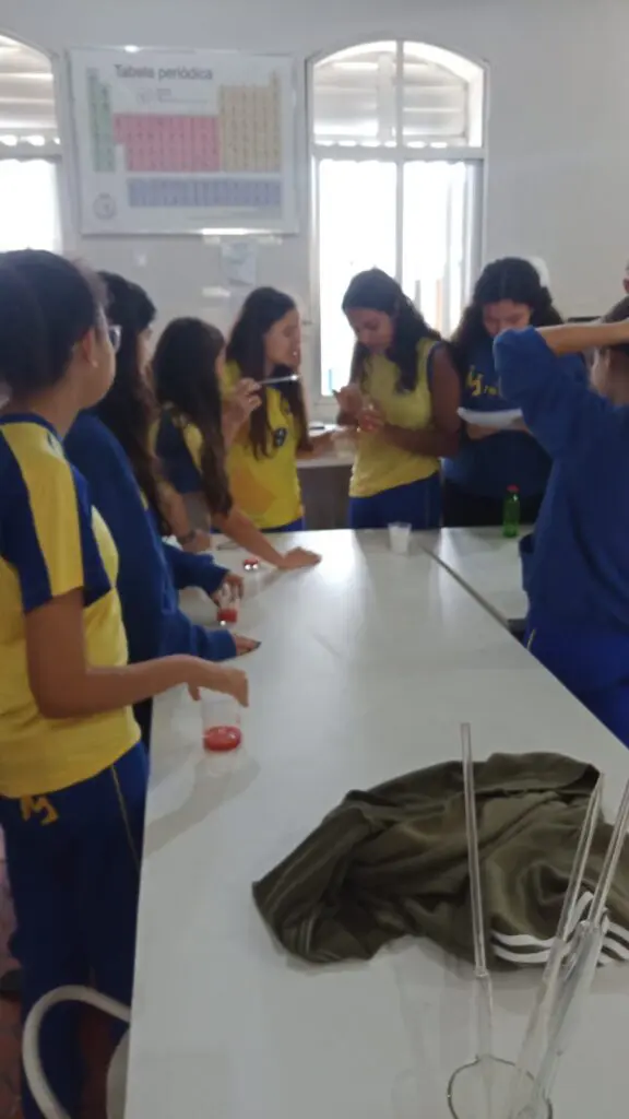 WhatsApp Image 2024-02-29 at 09.06.08