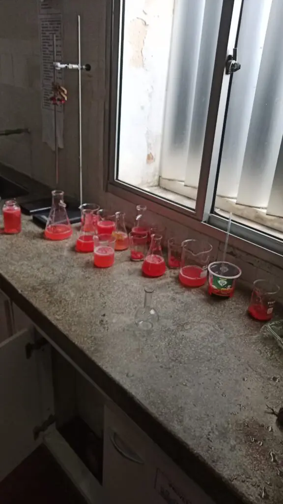 WhatsApp Image 2024-02-29 at 09.06.09 (1)