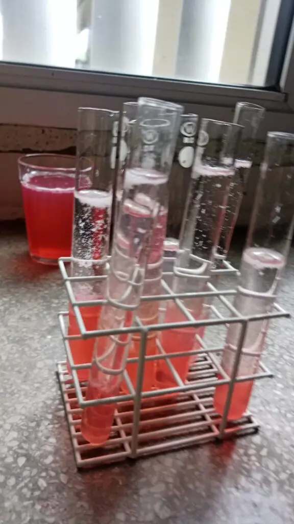 WhatsApp Image 2024-02-29 at 09.06.09 (3)