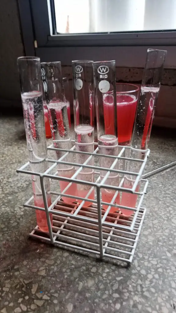 WhatsApp Image 2024-02-29 at 09.06.09