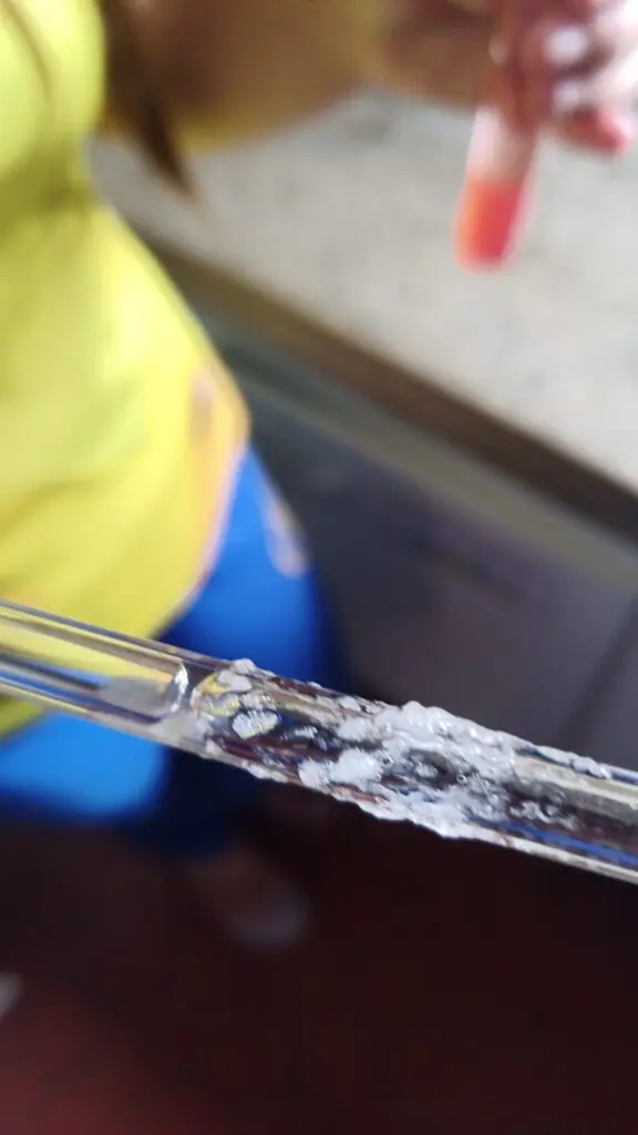 WhatsApp Image 2024-02-29 at 09.06.10