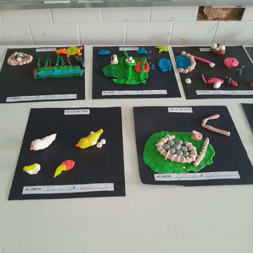 WhatsApp Image 2024-03-25 at 11.10.06