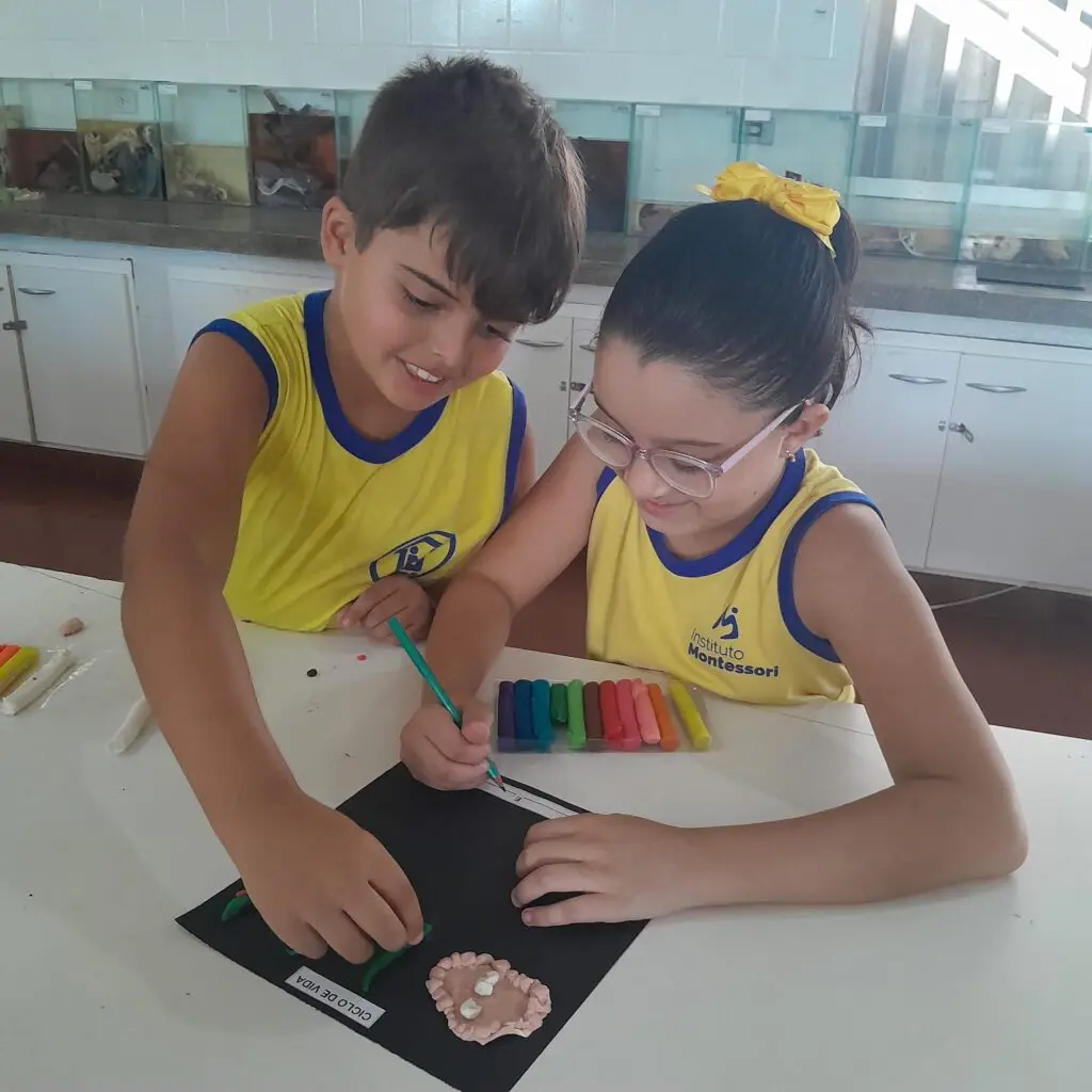 WhatsApp Image 2024-03-25 at 11.10.26