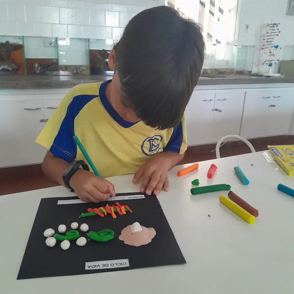 WhatsApp Image 2024-03-25 at 11.10.50