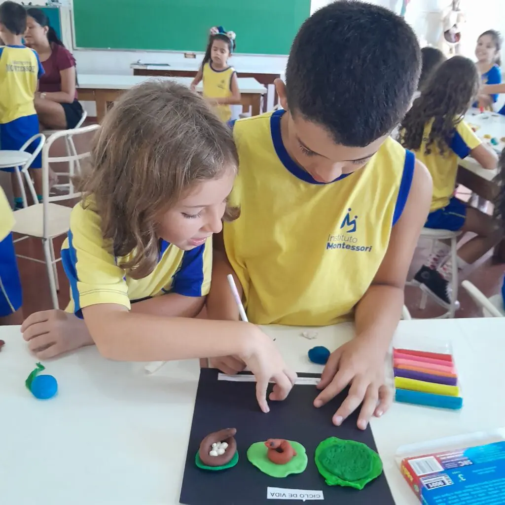 WhatsApp Image 2024-03-25 at 11.14.47