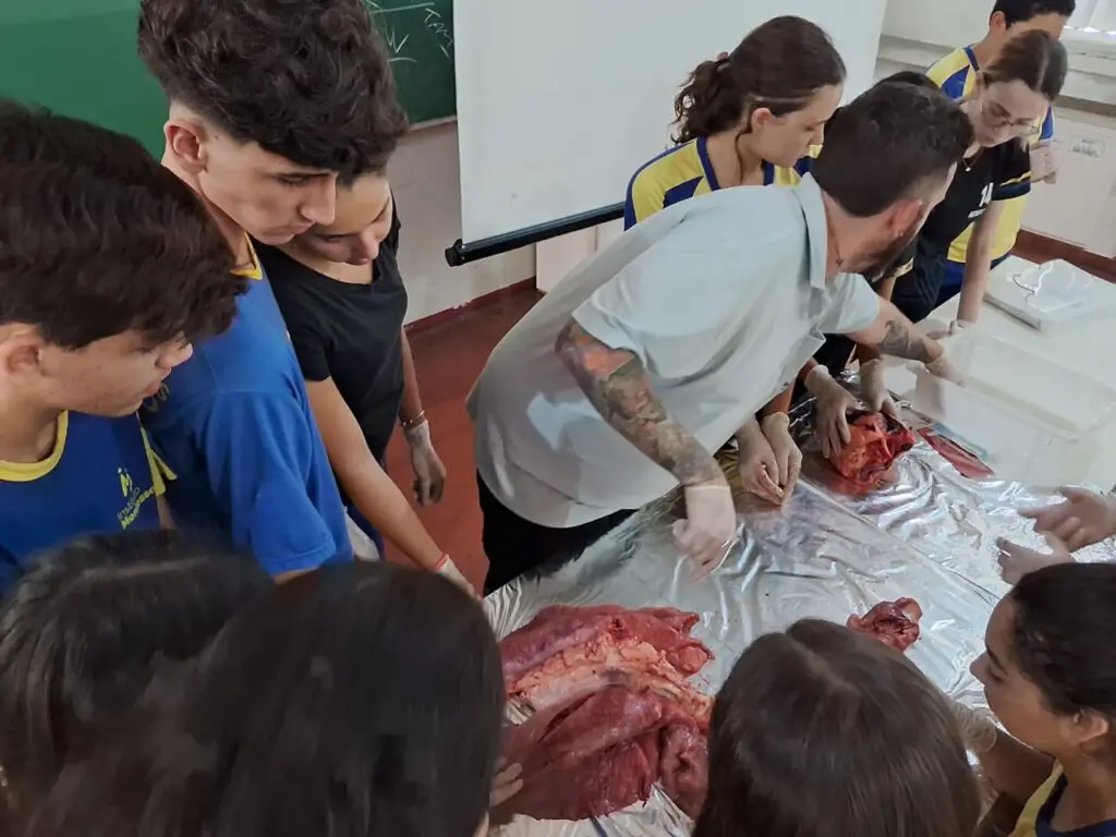 WhatsApp Image 2024-04-04 at 1.56.39 PM