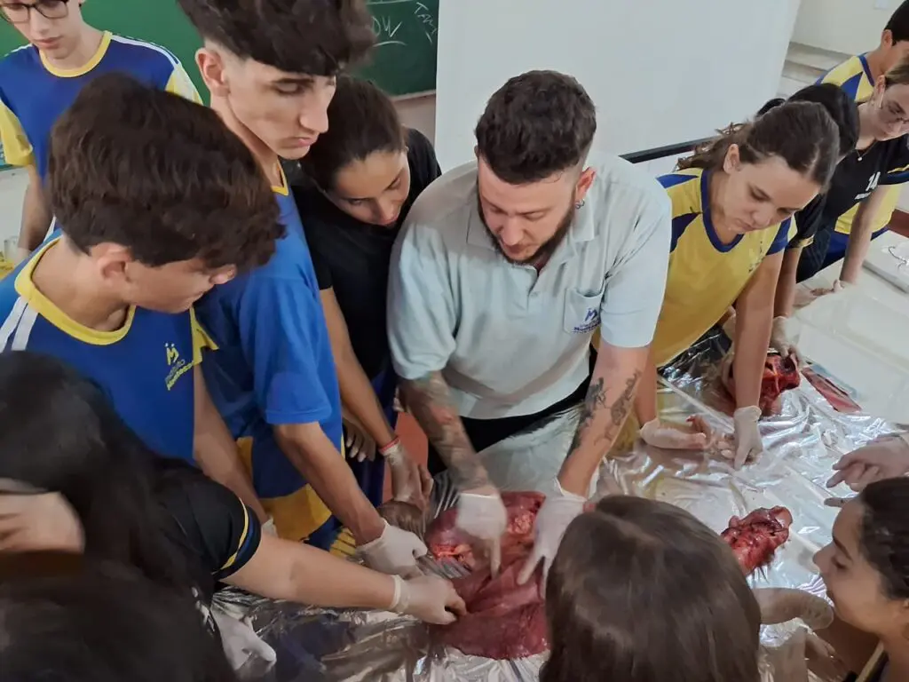 WhatsApp Image 2024-04-04 at 1.56.40 PM