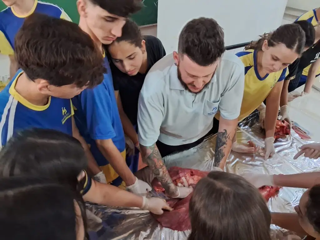 WhatsApp Image 2024-04-04 at 1.56.45 PM