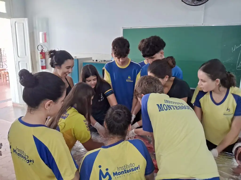 WhatsApp Image 2024-04-04 at 1.56.46 PM