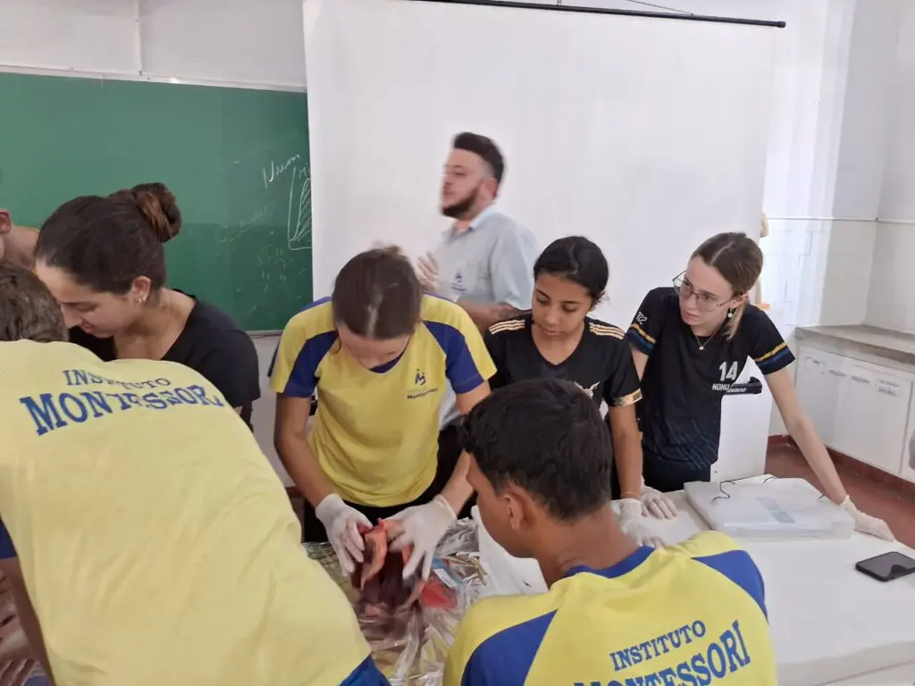 WhatsApp Image 2024-04-04 at 1.56.48 PM