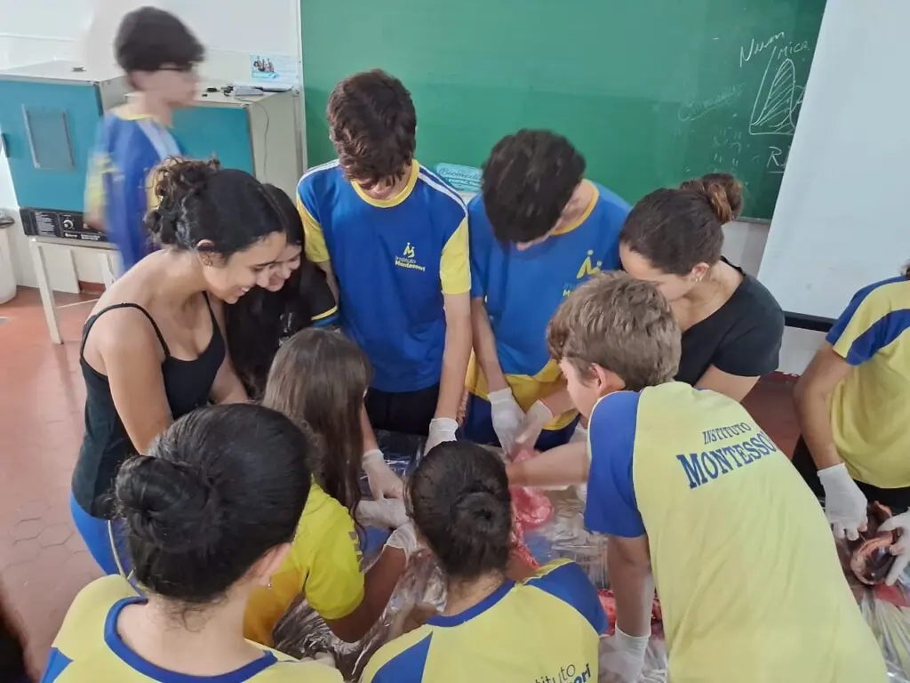 WhatsApp Image 2024-04-04 at 1.56.49 PM