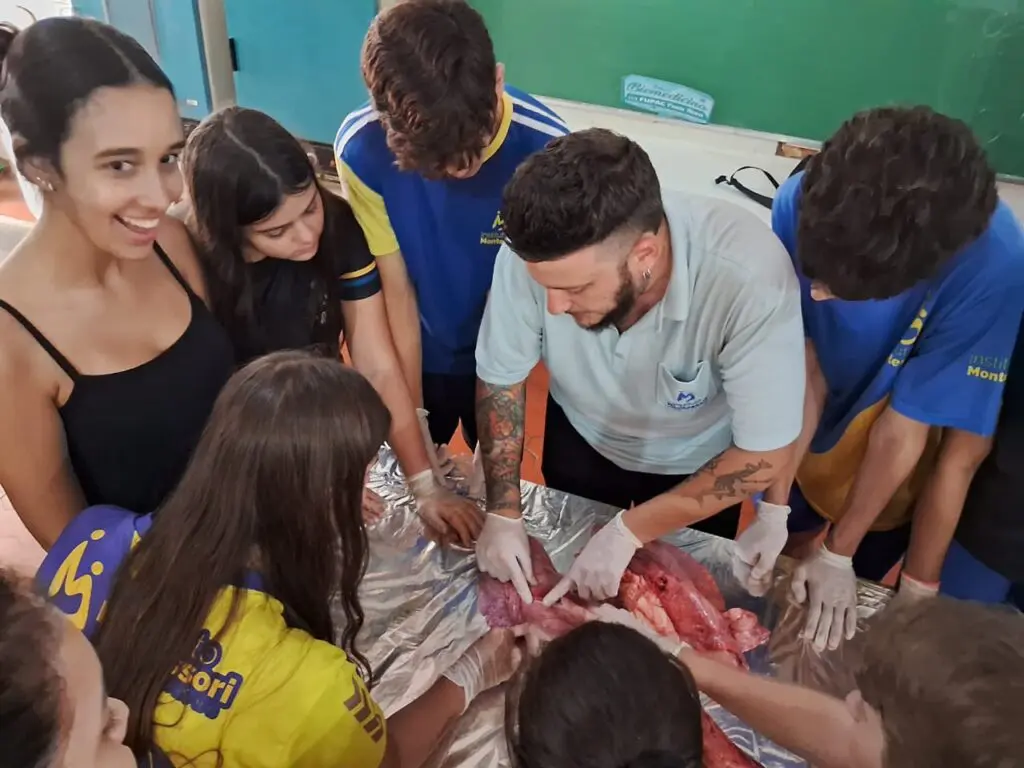 WhatsApp Image 2024-04-04 at 1.56.51 PM (1)