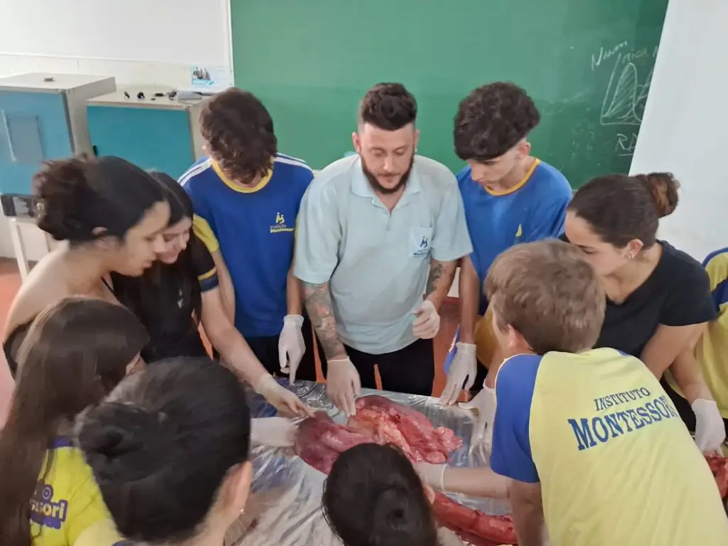 WhatsApp Image 2024-04-04 at 1.56.51 PM