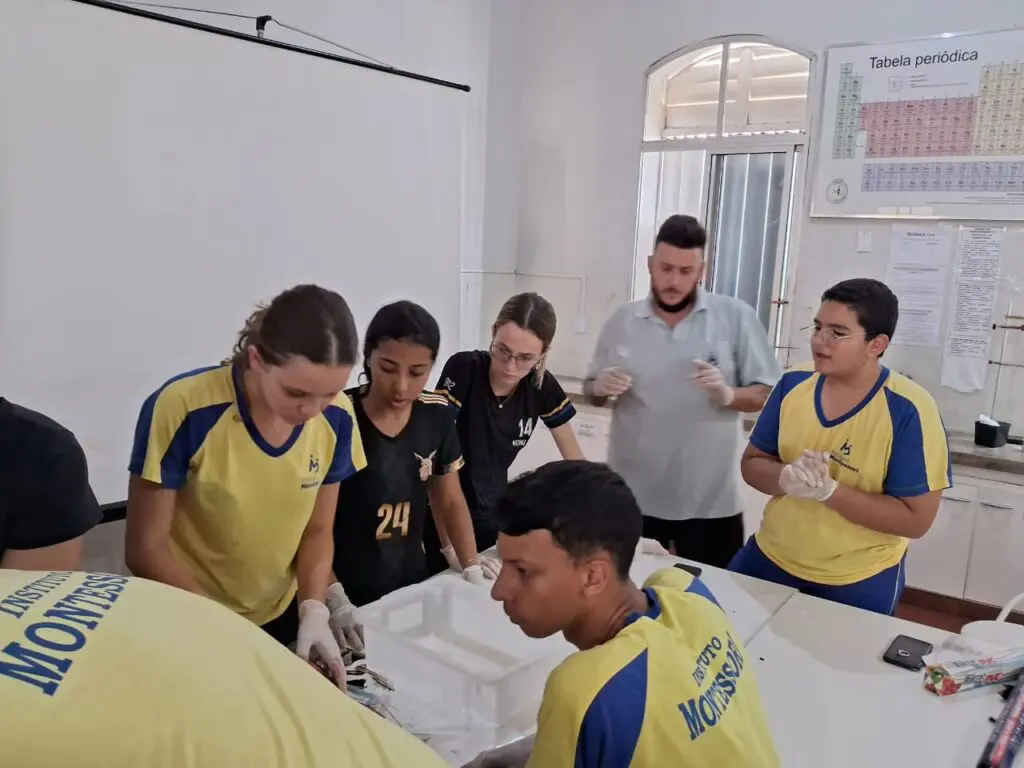 WhatsApp Image 2024-04-04 at 1.56.52 PM