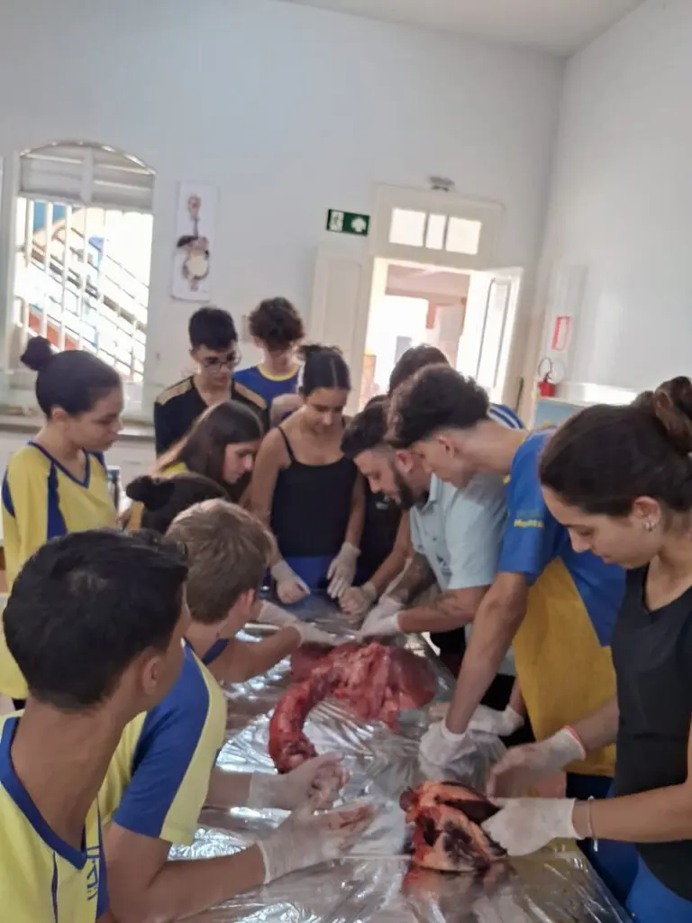 WhatsApp Image 2024-04-04 at 1.56.55 PM