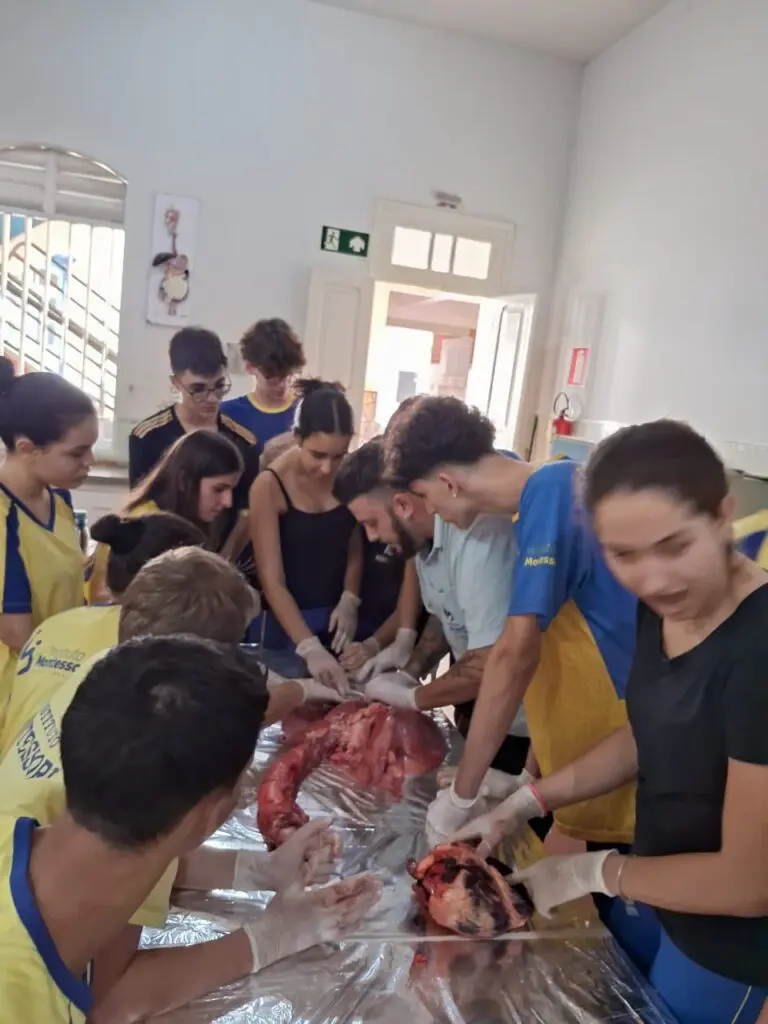 WhatsApp Image 2024-04-04 at 1.56.57 PM