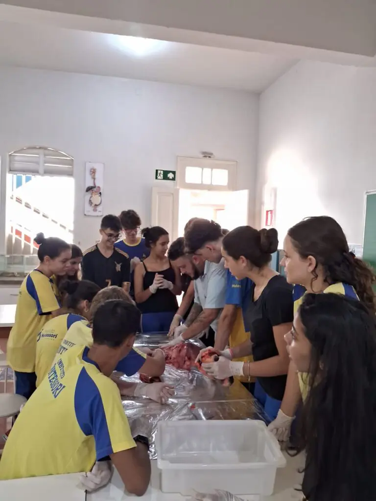 WhatsApp Image 2024-04-04 at 1.56.59 PM