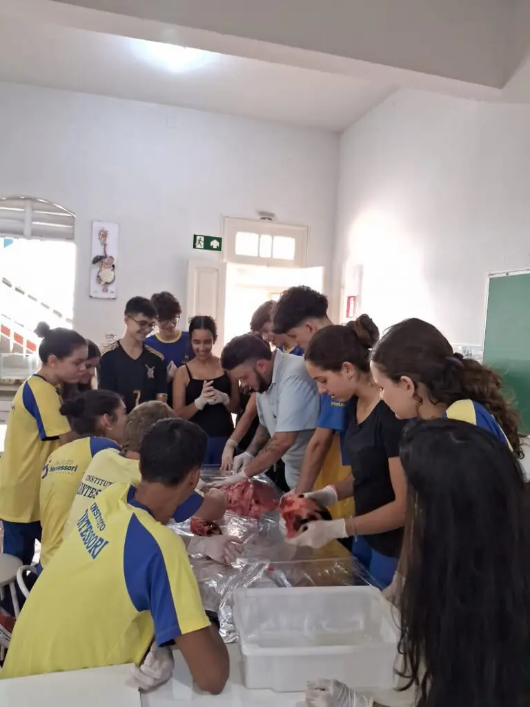 WhatsApp Image 2024-04-04 at 1.57.00 PM