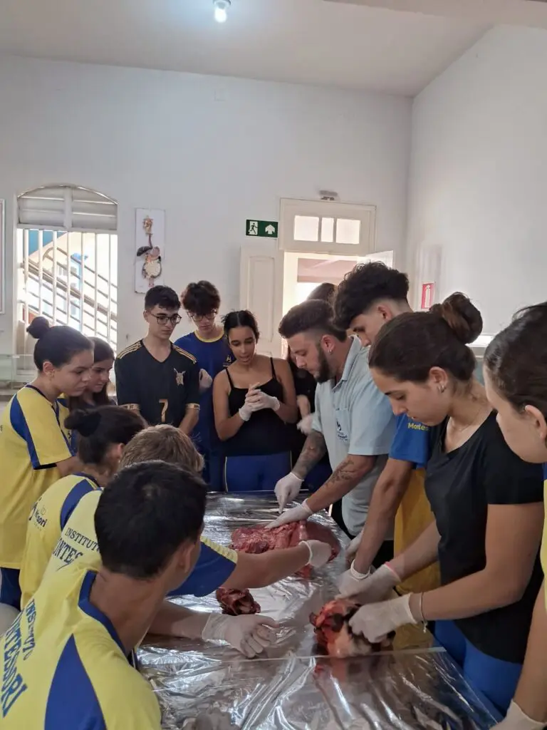 WhatsApp Image 2024-04-04 at 1.57.04 PM