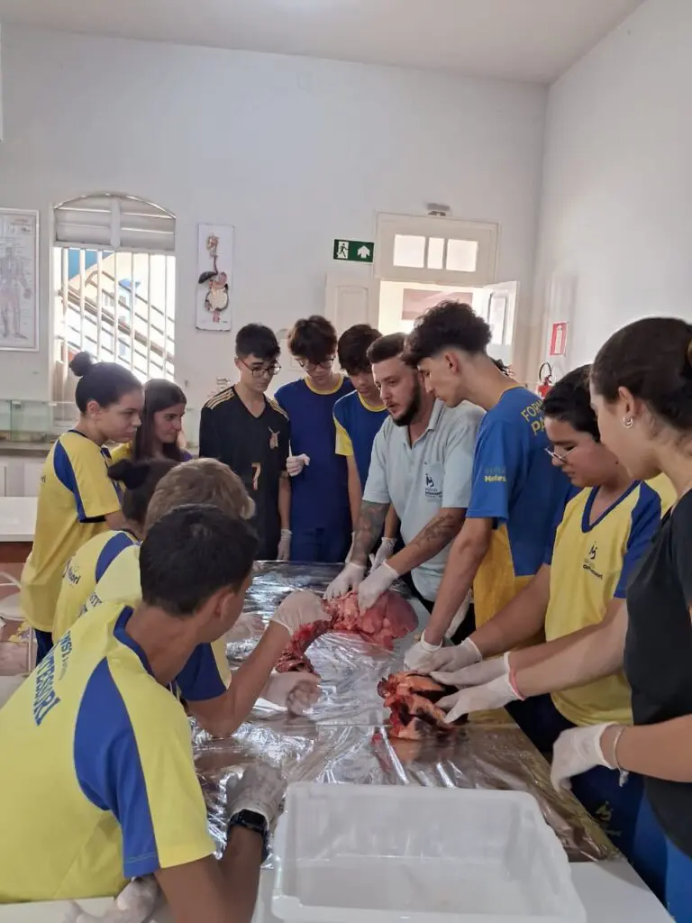 WhatsApp Image 2024-04-04 at 1.57.05 PM