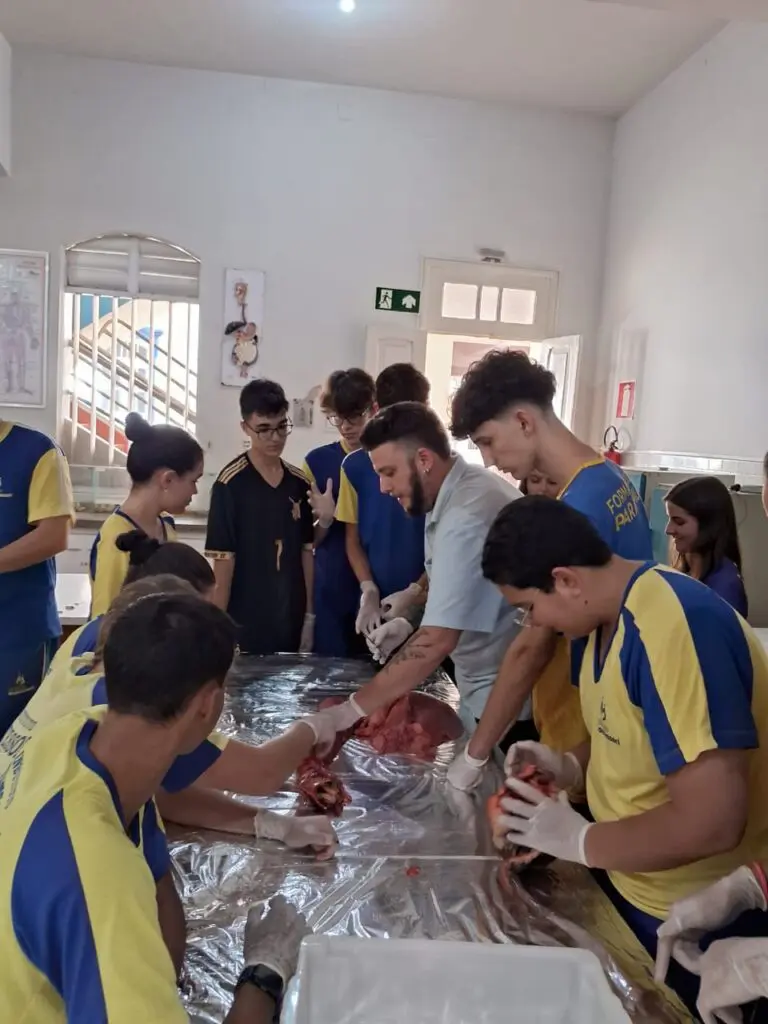 WhatsApp Image 2024-04-04 at 1.57.06 PM (1)