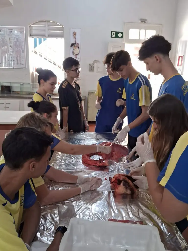 WhatsApp Image 2024-04-04 at 1.57.06 PM (2)