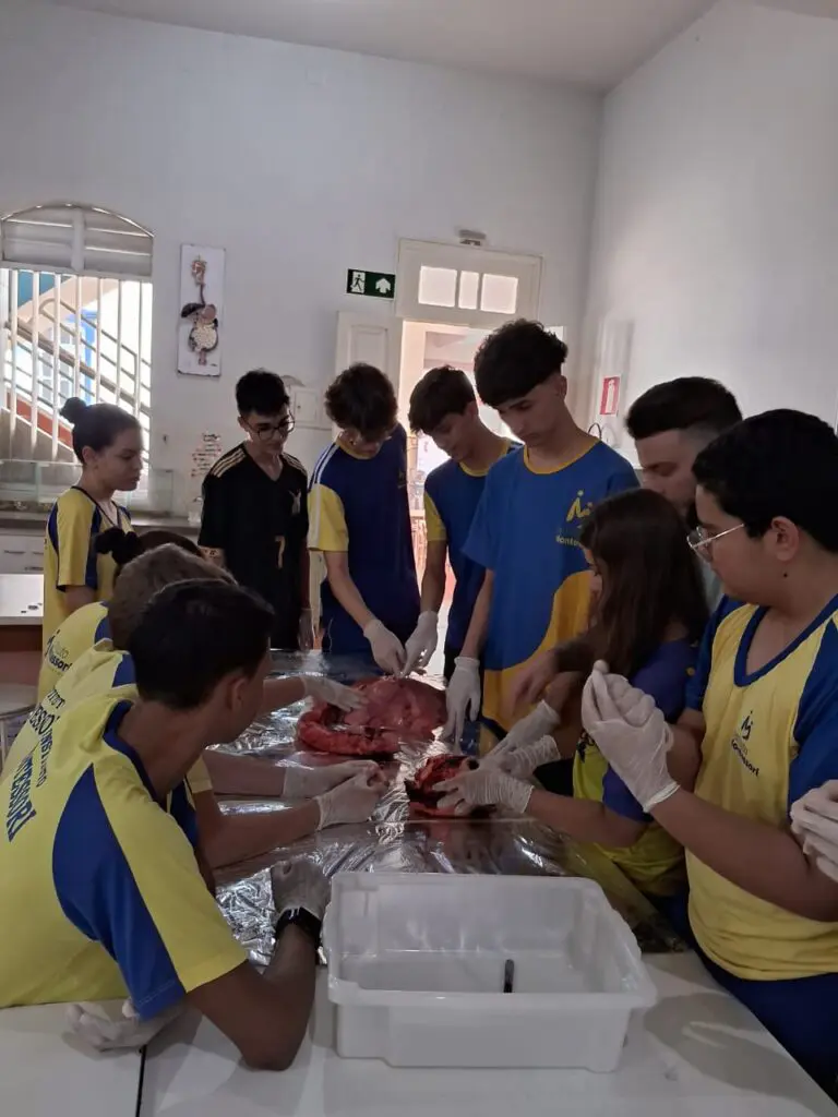 WhatsApp Image 2024-04-04 at 1.57.07 PM