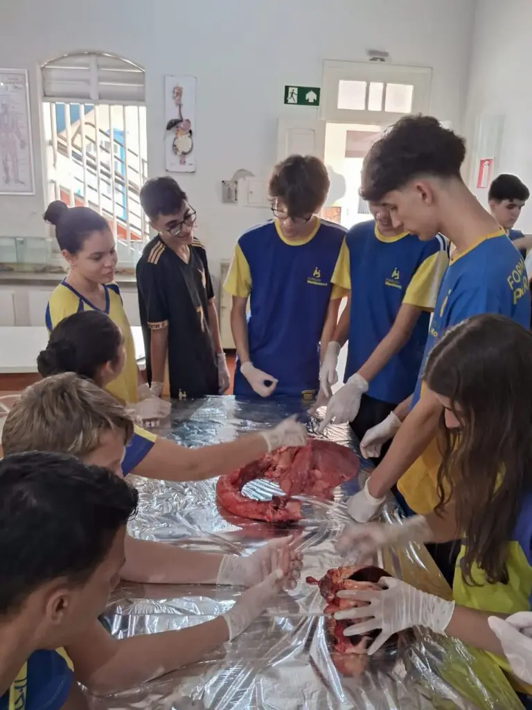 WhatsApp Image 2024-04-04 at 1.57.09 PM