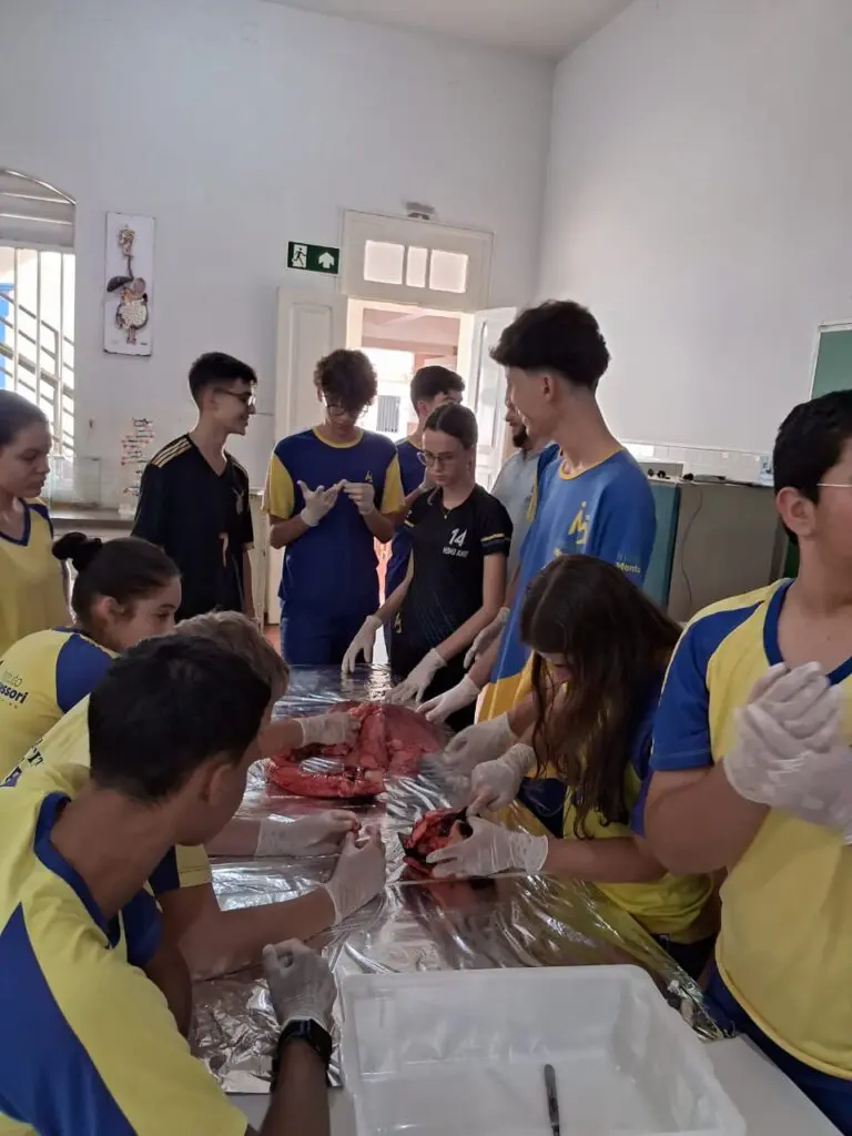 WhatsApp Image 2024-04-04 at 1.57.10 PM