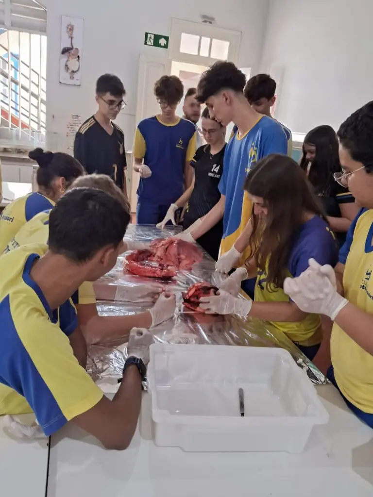 WhatsApp Image 2024-04-04 at 1.57.11 PM (1)