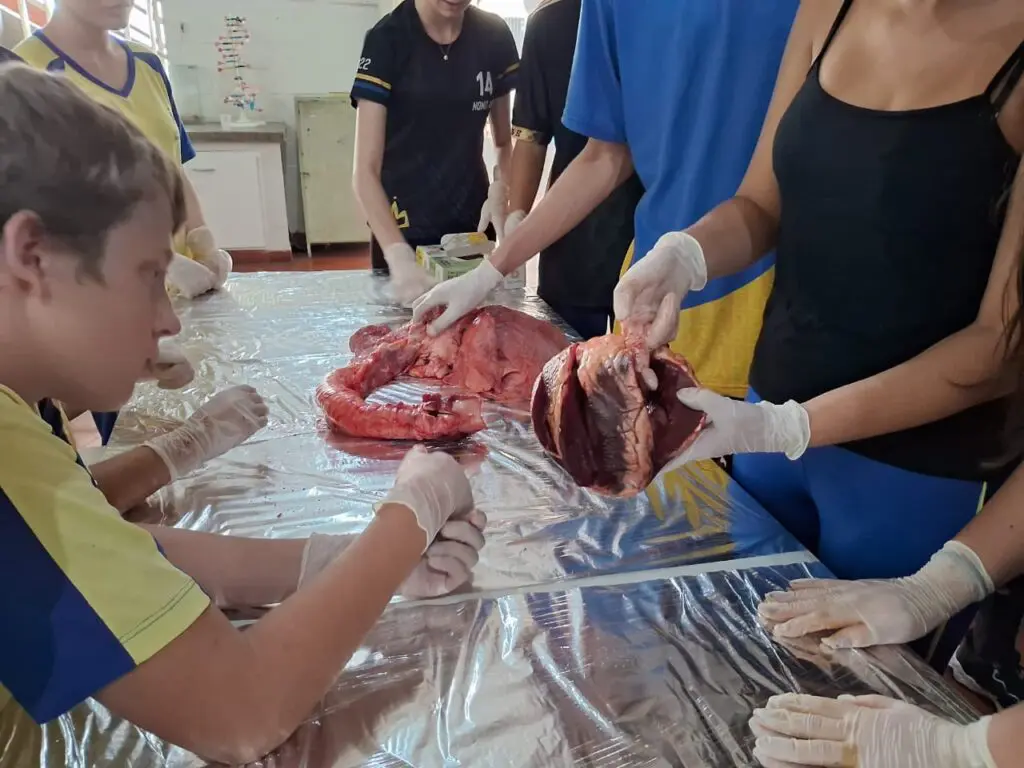 WhatsApp Image 2024-04-04 at 1.57.11 PM