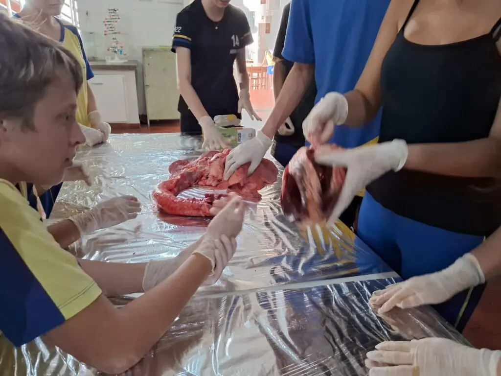 WhatsApp Image 2024-04-04 at 1.57.11 PM (2)