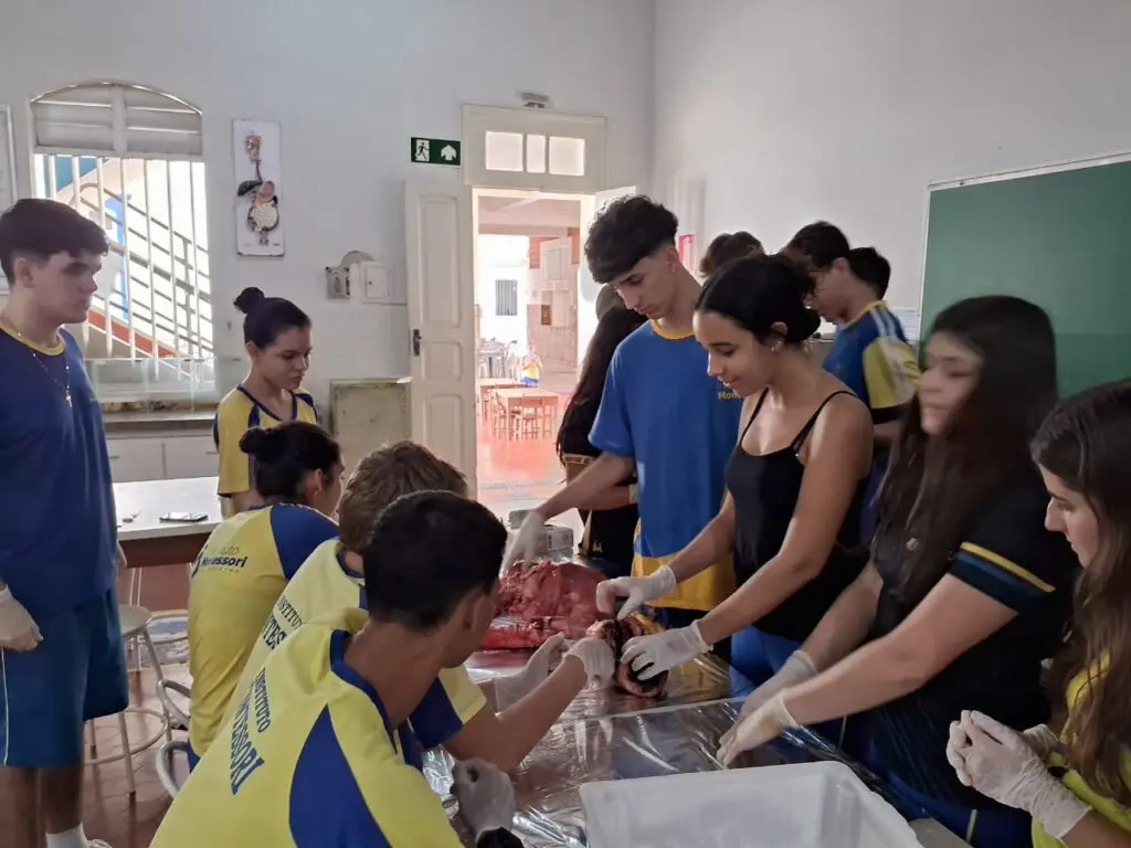 WhatsApp Image 2024-04-04 at 1.57.11 PM (3)