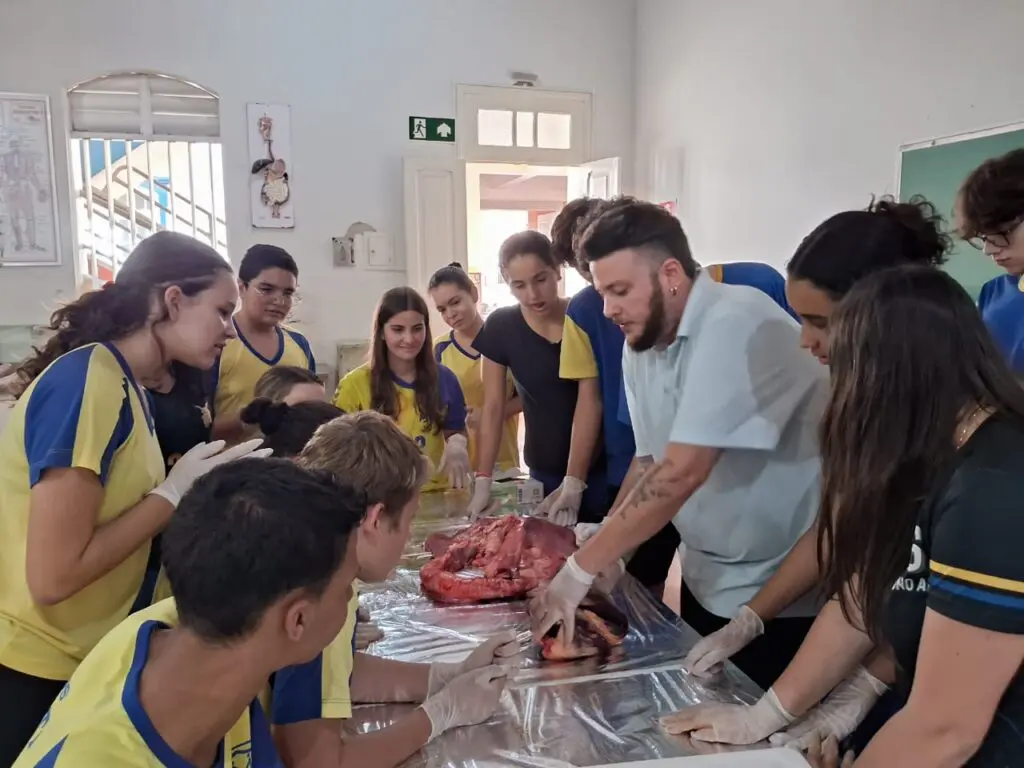 WhatsApp Image 2024-04-04 at 1.57.12 PM (1)