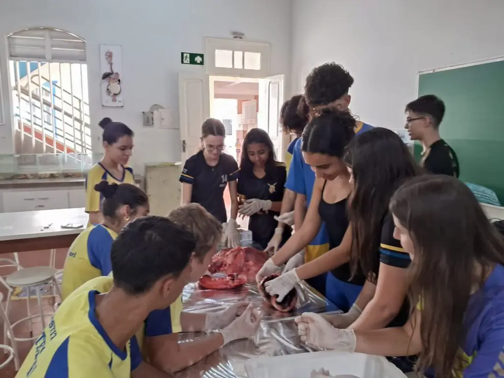 WhatsApp Image 2024-04-04 at 1.57.12 PM