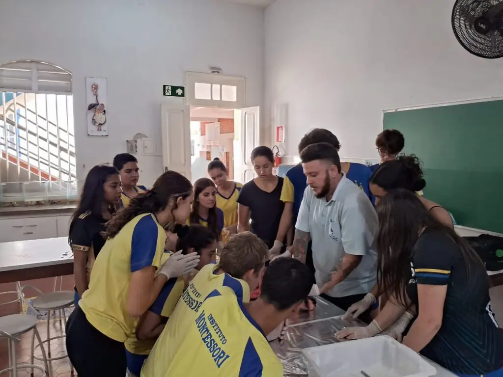 WhatsApp Image 2024-04-04 at 1.57.12 PM (2)