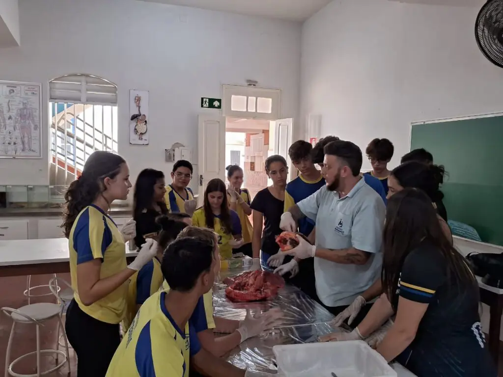 WhatsApp Image 2024-04-04 at 1.57.13 PM (1)