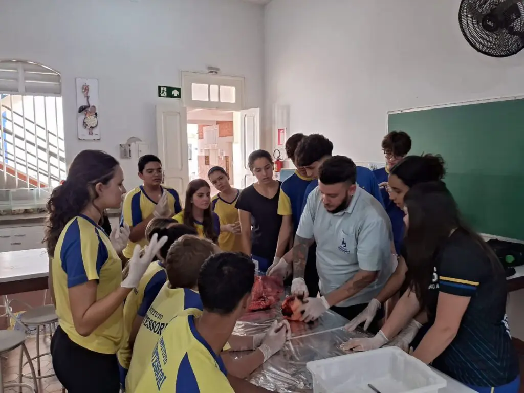 WhatsApp Image 2024-04-04 at 1.57.13 PM