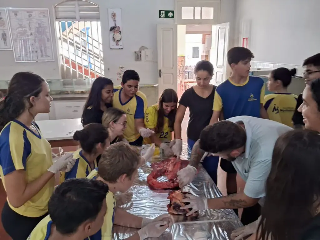 WhatsApp Image 2024-04-04 at 1.57.13 PM (2)