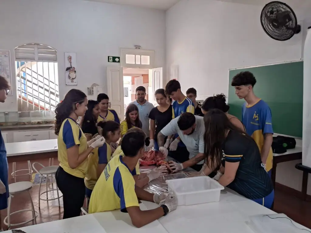 WhatsApp Image 2024-04-04 at 1.57.15 PM