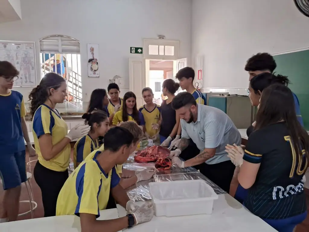 WhatsApp Image 2024-04-04 at 1.57.16 PM (1)