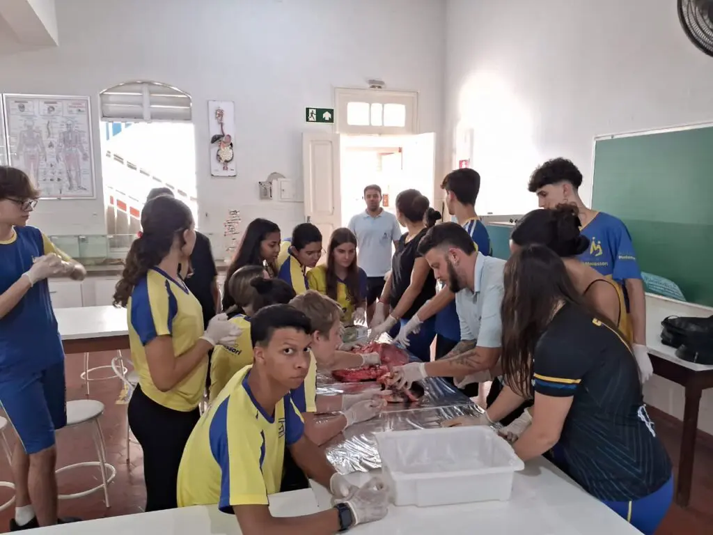 WhatsApp Image 2024-04-04 at 1.57.16 PM