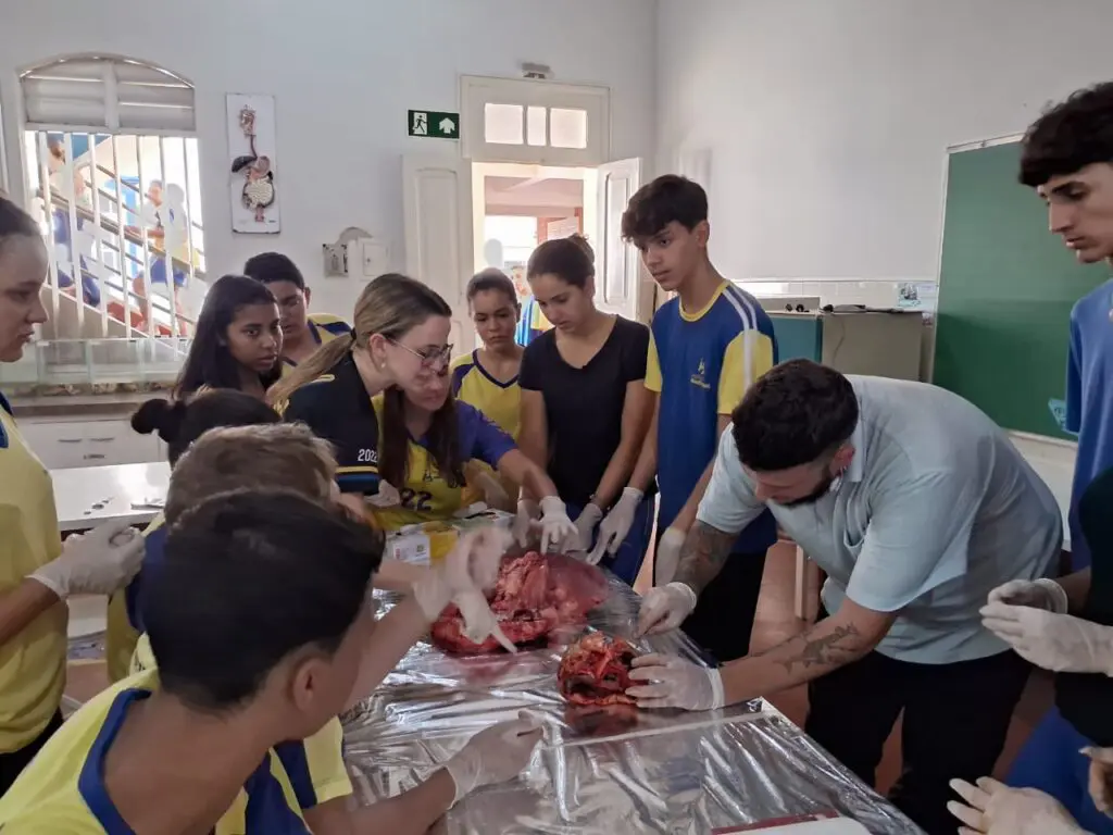 WhatsApp Image 2024-04-04 at 1.57.16 PM (2)